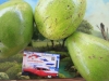 AGUACATE