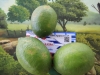 LIMON
