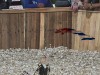 cuba.bgspacecom9