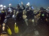 Градините на Кралицата Куба