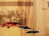 Песо Конвертибле