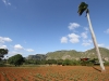 Фермата на Бенито Винялес Куба