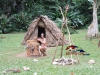 indianci (1)