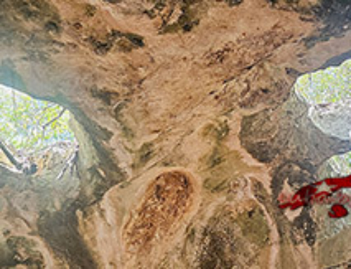 Пещерата Амбросио, Варадеро Куба. Cueva de Ambrosio Varadero