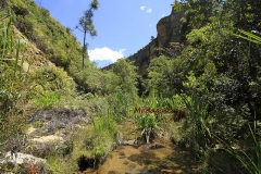 Исало Парк Мадагаскар