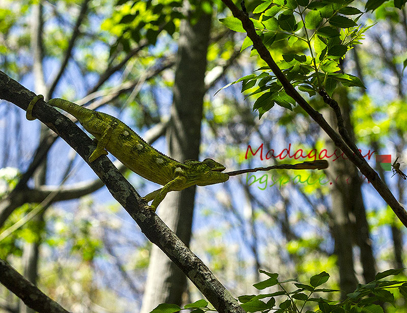 Природен Парк Анжи Мадагаскар