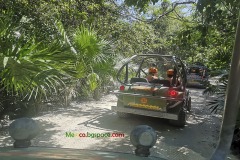 Explore Mexico
