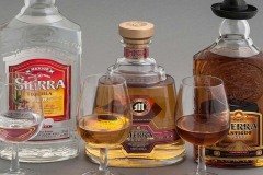 Текила