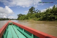 Usumacinta