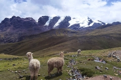 Цветната Планина Перу