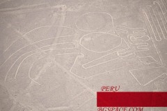 Nasca