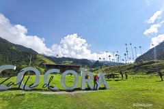 Кокора
