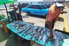Рибен пазар