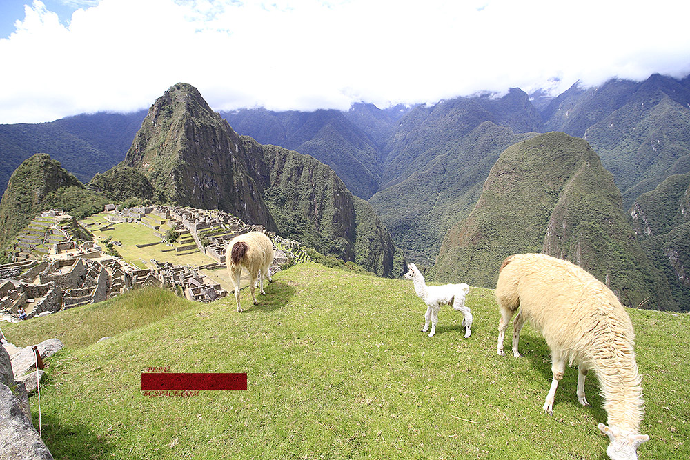 Екскурзия в Перу и Боливия февруари 2021